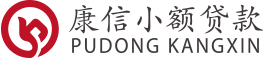 上海浦东新区康信小额贷款有限公司